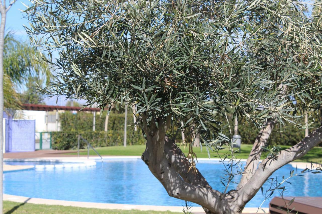 Sol y playa Daire Alicante Dış mekan fotoğraf
